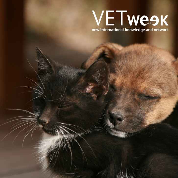 Design uden navn (15)